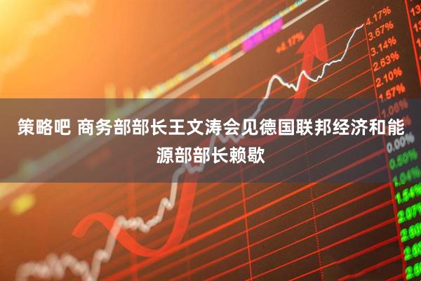 策略吧 商务部部长王文涛会见德国联邦经济和能源部部长赖歇